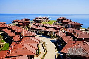 image_11