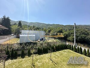 image_6