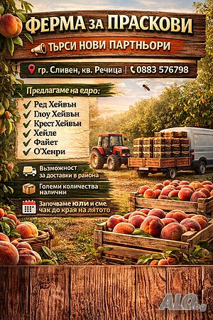 Продава Десертни и Компотни Праскови гр. Сливен