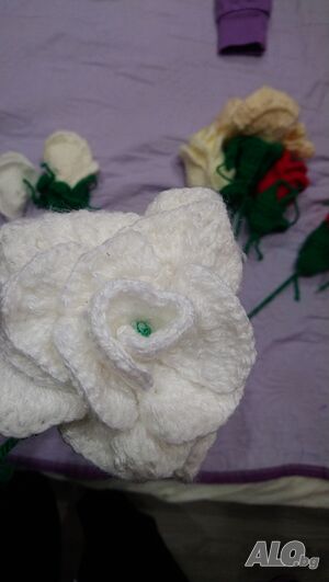 image_4