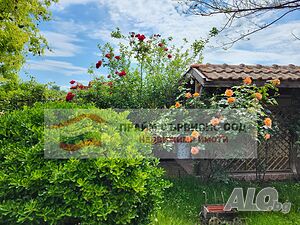 image_10