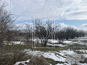 Парцел в село Голямо Асеново