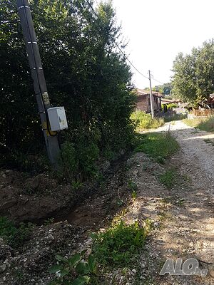 Продавам земеделски имоти / гори / в землището на с. Бръшлян. Цената е за всички имоти общо.