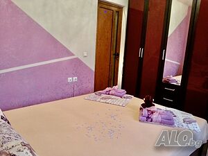 image_8
