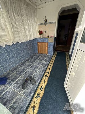 image_8