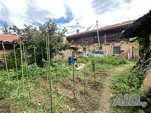 image_12