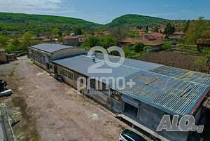 image_7
