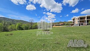 image_9