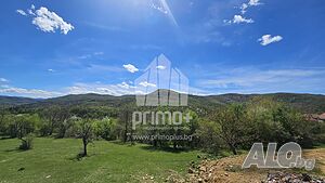 image_11