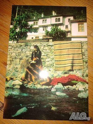 image_7