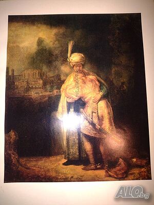 image_8