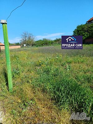 image_6