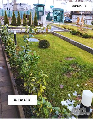 image_7