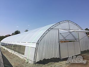 image_8