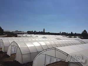 image_9