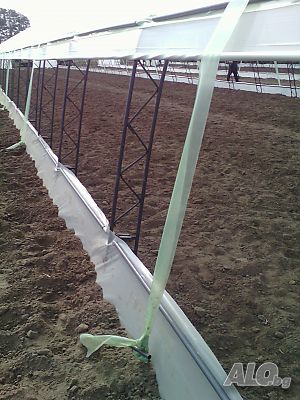 image_11