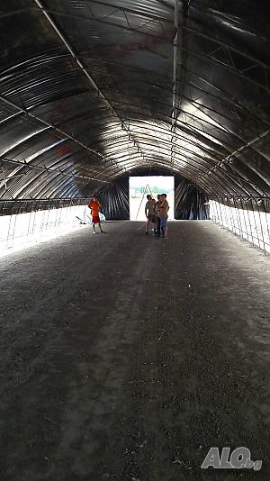 image_12