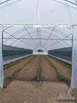 image_13