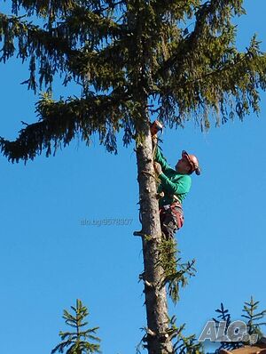 image_4