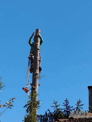 image_7