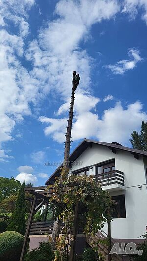 image_8