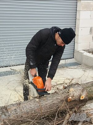 image_5