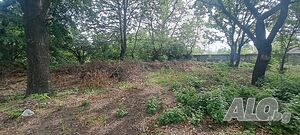 image_8