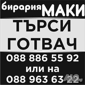 Бирария Маки търси готвач