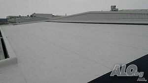 image_6