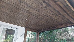 image_15