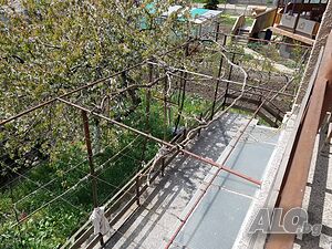 image_3