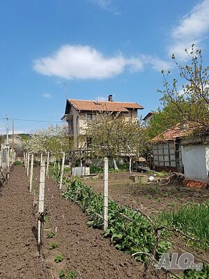 image_6