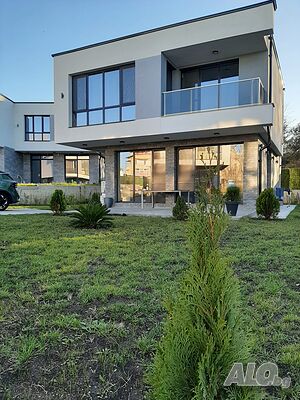 image_11
