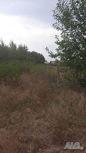 Парцел в с. Крушево