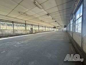 image_6