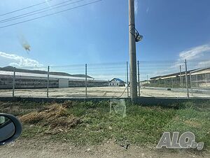 image_15
