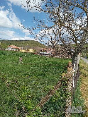 image_10