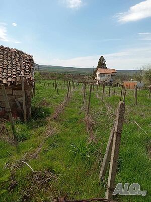 image_11