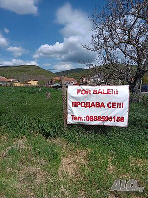 image_12