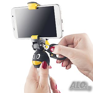 image_3