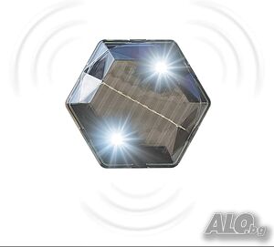 image_3