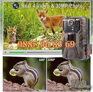 image_6