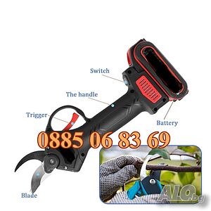 image_3