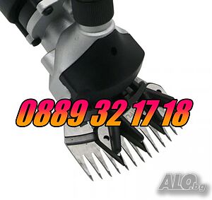 image_2