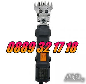 image_3