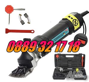 image_4