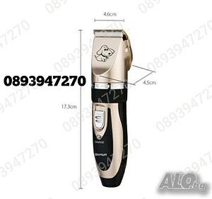 image_4