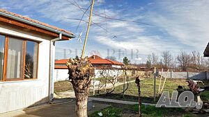 image_9