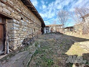 image_9