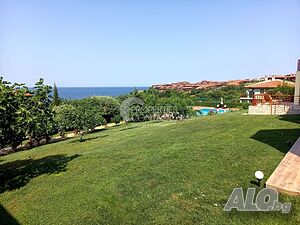 image_15